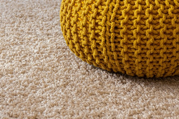 Fresh Carpet